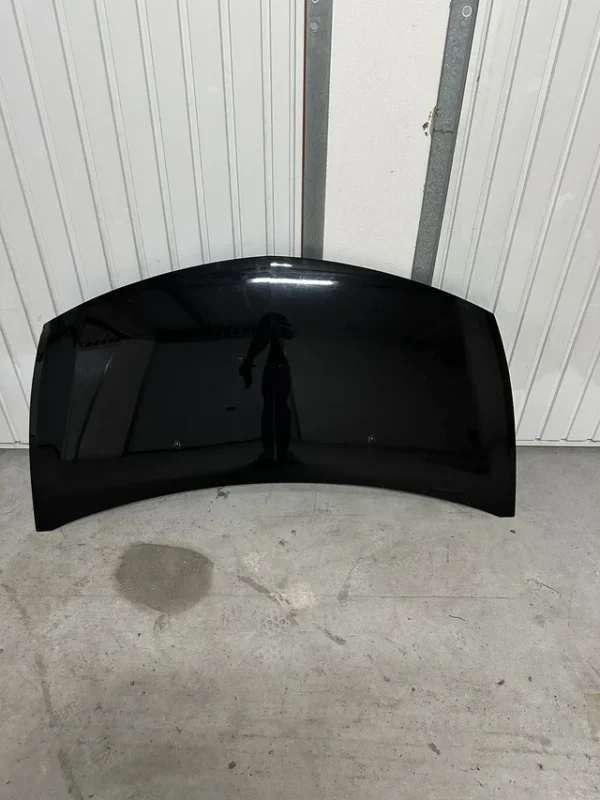 Renault clio sport 3 197 200 203 capo